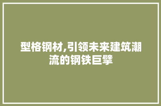 型格钢材,引领未来建筑潮流的钢铁巨擘