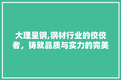 大理呈钢,钢材行业的佼佼者，铸就品质与实力的完美结合