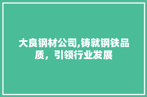 大良钢材公司,铸就钢铁品质，引领行业发展