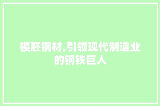 模胚钢材,引领现代制造业的钢铁巨人