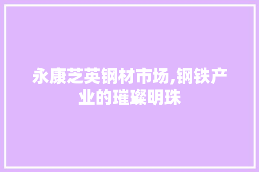 永康芝英钢材市场,钢铁产业的璀璨明珠