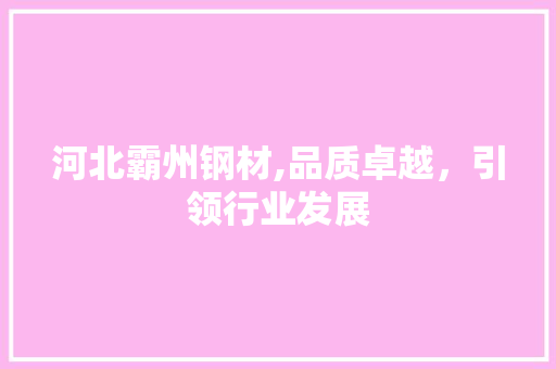 河北霸州钢材,品质卓越，引领行业发展