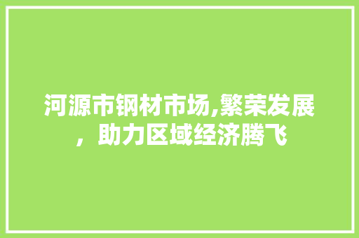 河源市钢材市场,繁荣发展，助力区域经济腾飞