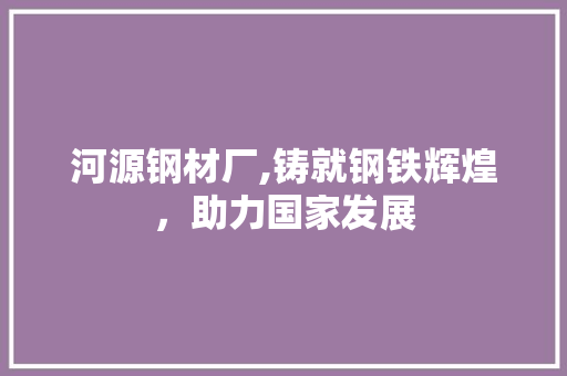 河源钢材厂,铸就钢铁辉煌，助力国家发展