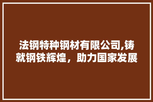 法钢特种钢材有限公司,铸就钢铁辉煌，助力国家发展