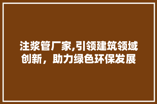 注浆管厂家,引领建筑领域创新，助力绿色环保发展