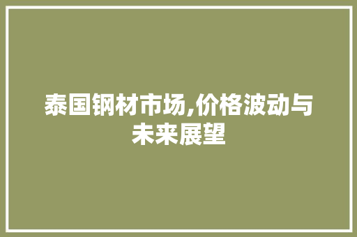 泰国钢材市场,价格波动与未来展望
