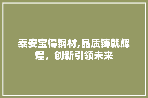 泰安宝得钢材,品质铸就辉煌，创新引领未来