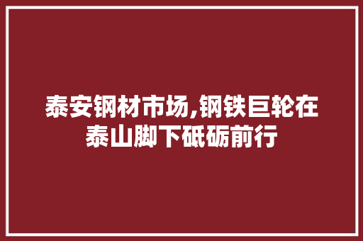 泰安钢材市场,钢铁巨轮在泰山脚下砥砺前行
