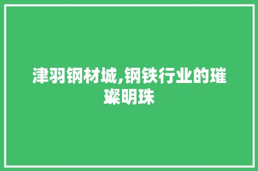津羽钢材城,钢铁行业的璀璨明珠