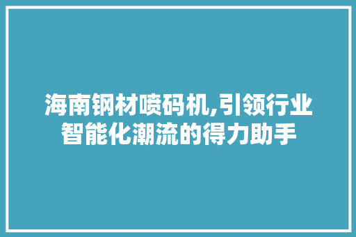 海南钢材喷码机,引领行业智能化潮流的得力助手