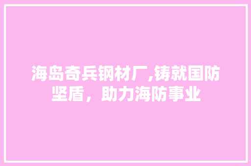 海岛奇兵钢材厂,铸就国防坚盾，助力海防事业