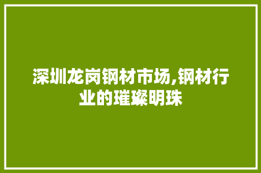 深圳龙岗钢材市场,钢材行业的璀璨明珠