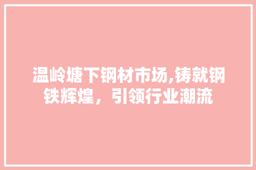 温岭塘下钢材市场,铸就钢铁辉煌，引领行业潮流