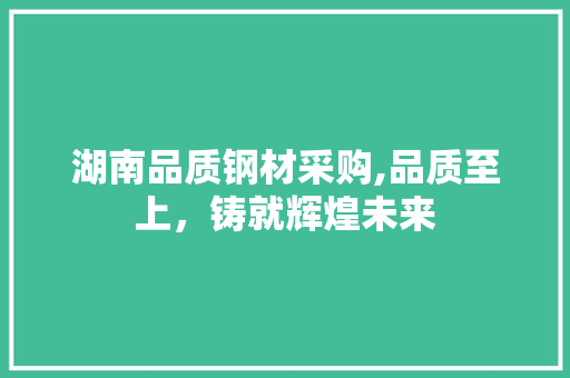 湖南品质钢材采购,品质至上，铸就辉煌未来