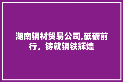 湖南钢材贸易公司,砥砺前行，铸就钢铁辉煌