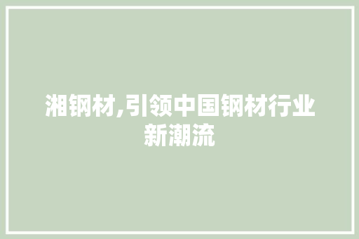 湘钢材,引领中国钢材行业新潮流