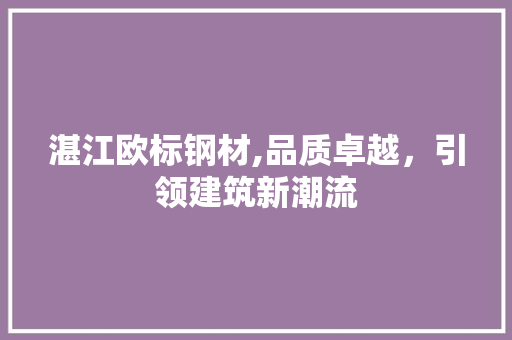 湛江欧标钢材,品质卓越，引领建筑新潮流