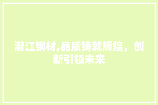潜江钢材,品质铸就辉煌，创新引领未来
