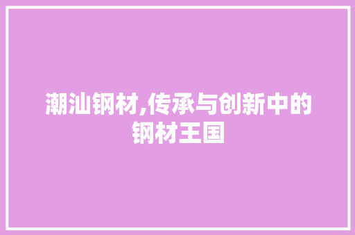 潮汕钢材,传承与创新中的钢材王国
