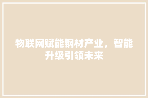 物联网赋能钢材产业，智能升级引领未来