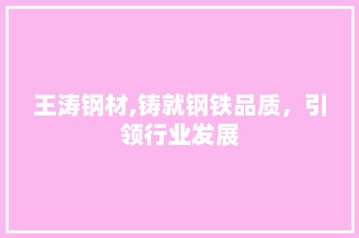 王涛钢材,铸就钢铁品质，引领行业发展