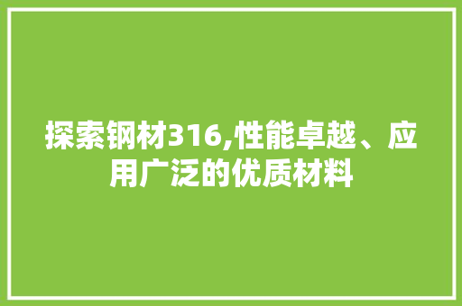 探索钢材316,性能卓越、应用广泛的优质材料