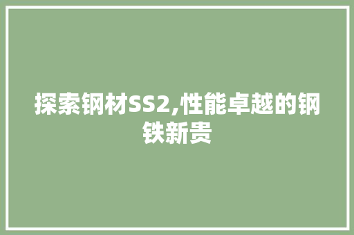 探索钢材SS2,性能卓越的钢铁新贵
