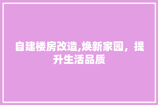 自建楼房改造,焕新家园，提升生活品质