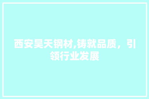 西安昊天钢材,铸就品质，引领行业发展