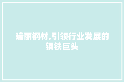 瑞丽钢材,引领行业发展的钢铁巨头