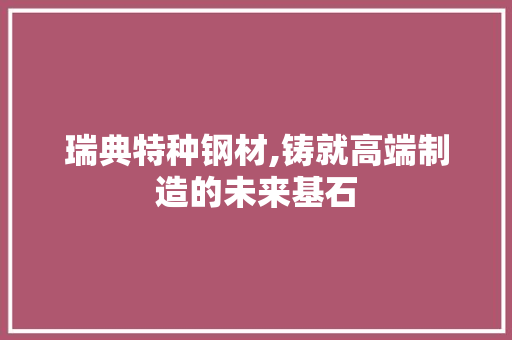 瑞典特种钢材,铸就高端制造的未来基石