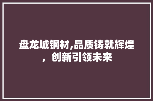 盘龙城钢材,品质铸就辉煌，创新引领未来
