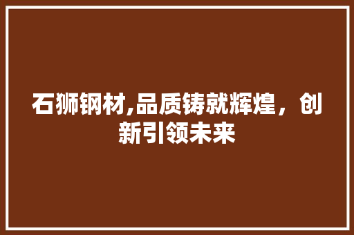 石狮钢材,品质铸就辉煌，创新引领未来