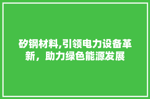 矽钢材料,引领电力设备革新，助力绿色能源发展