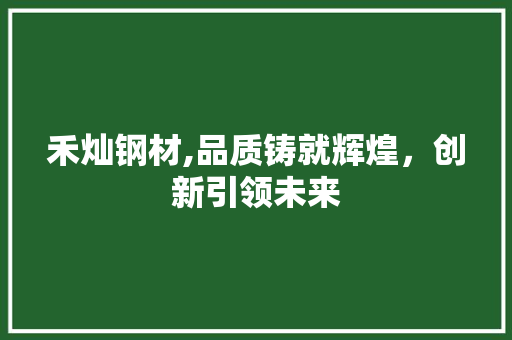 禾灿钢材,品质铸就辉煌，创新引领未来