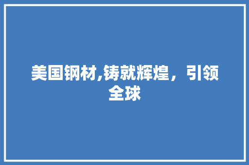 美国钢材,铸就辉煌，引领全球