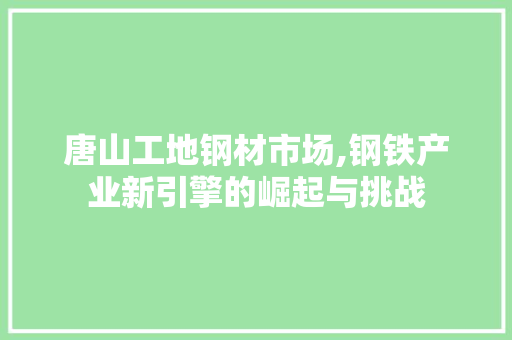 唐山工地钢材市场,钢铁产业新引擎的崛起与挑战