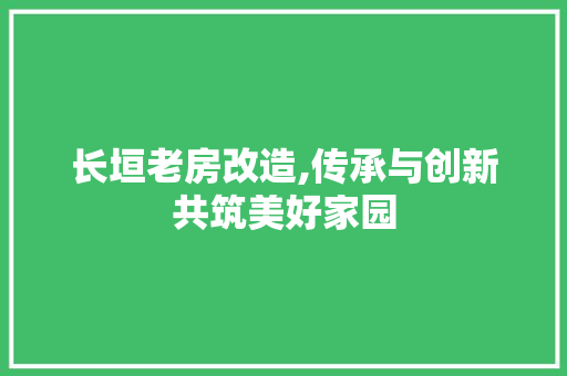 长垣老房改造,传承与创新共筑美好家园