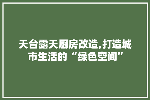 天台露天厨房改造,打造城市生活的“绿色空间”