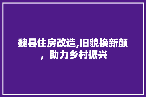 魏县住房改造,旧貌换新颜，助力乡村振兴