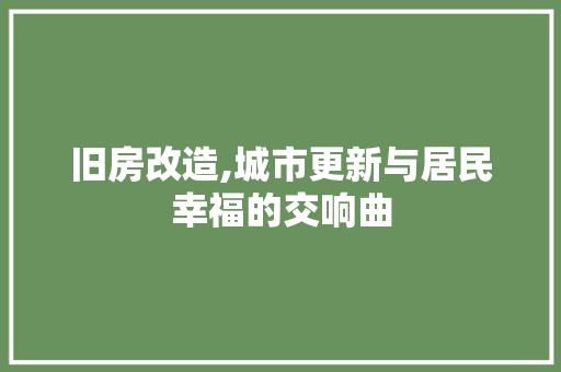 旧房改造,城市更新与居民幸福的交响曲