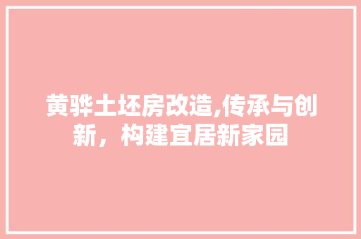 黄骅土坯房改造,传承与创新，构建宜居新家园