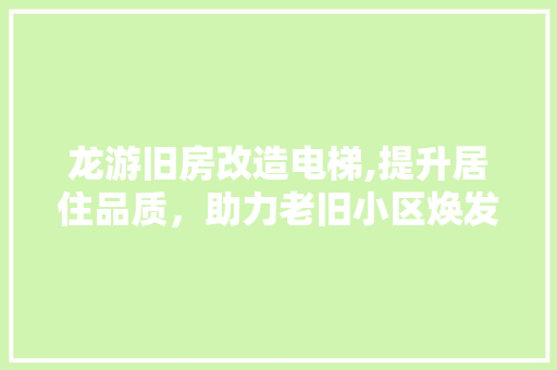 龙游旧房改造电梯,提升居住品质，助力老旧小区焕发新活力