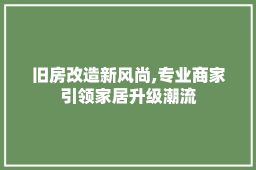 旧房改造新风尚,专业商家引领家居升级潮流
