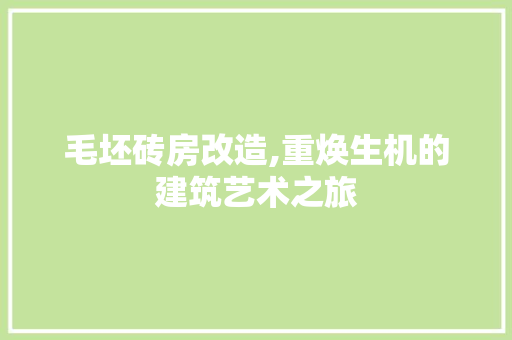 毛坯砖房改造,重焕生机的建筑艺术之旅