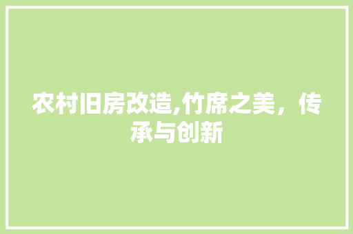 农村旧房改造,竹席之美，传承与创新