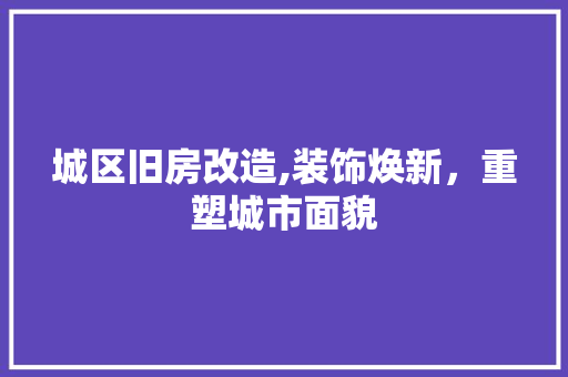 城区旧房改造,装饰焕新，重塑城市面貌