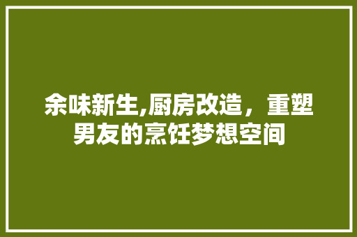 余味新生,厨房改造，重塑男友的烹饪梦想空间