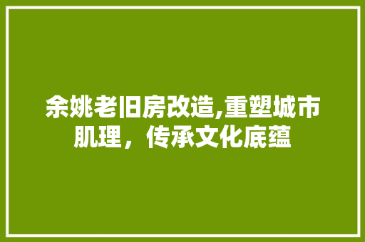 余姚老旧房改造,重塑城市肌理，传承文化底蕴